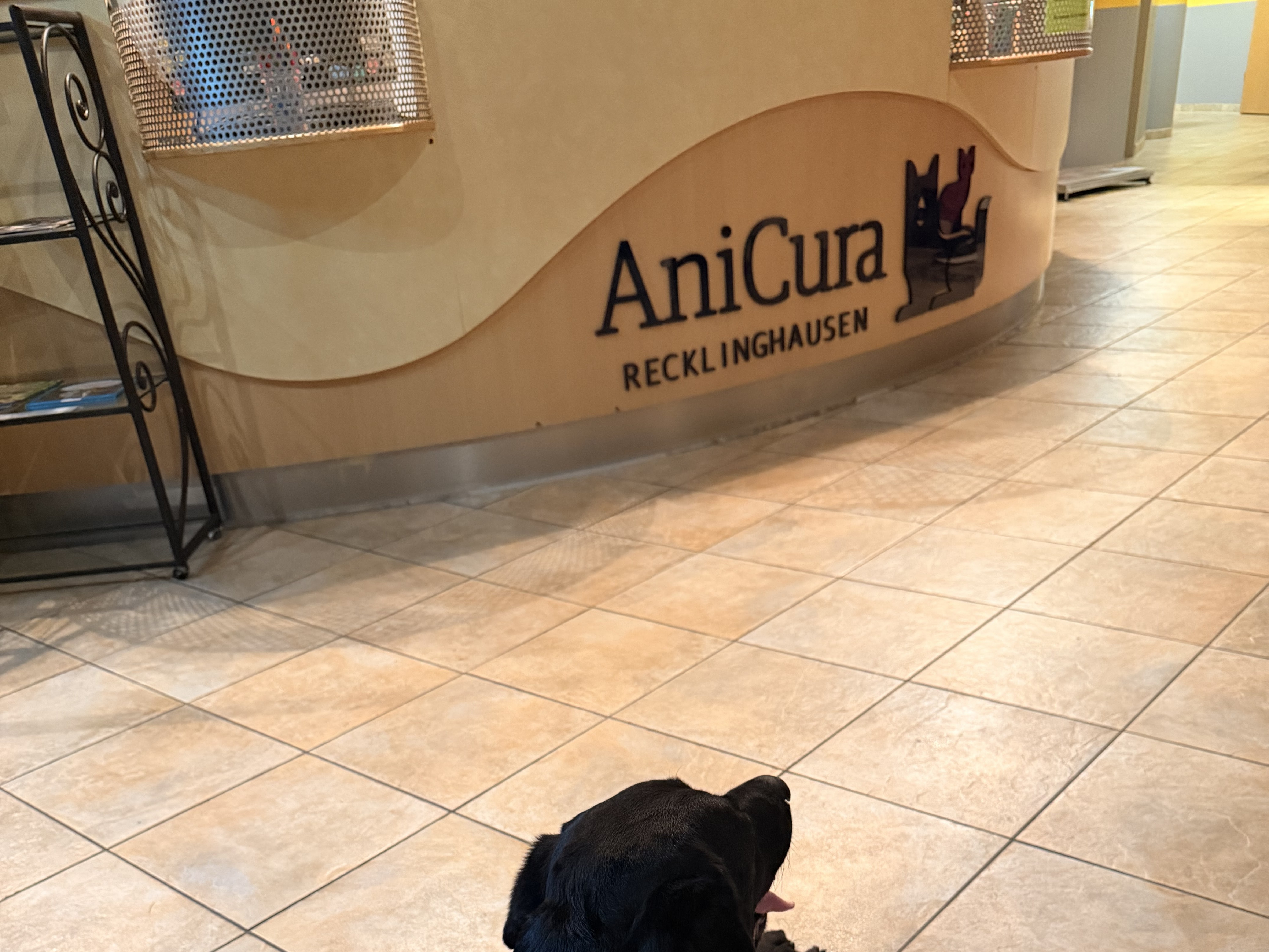 AniCura Recklinghausen - Tierärztliche Klinik für Kleintiere – Bild