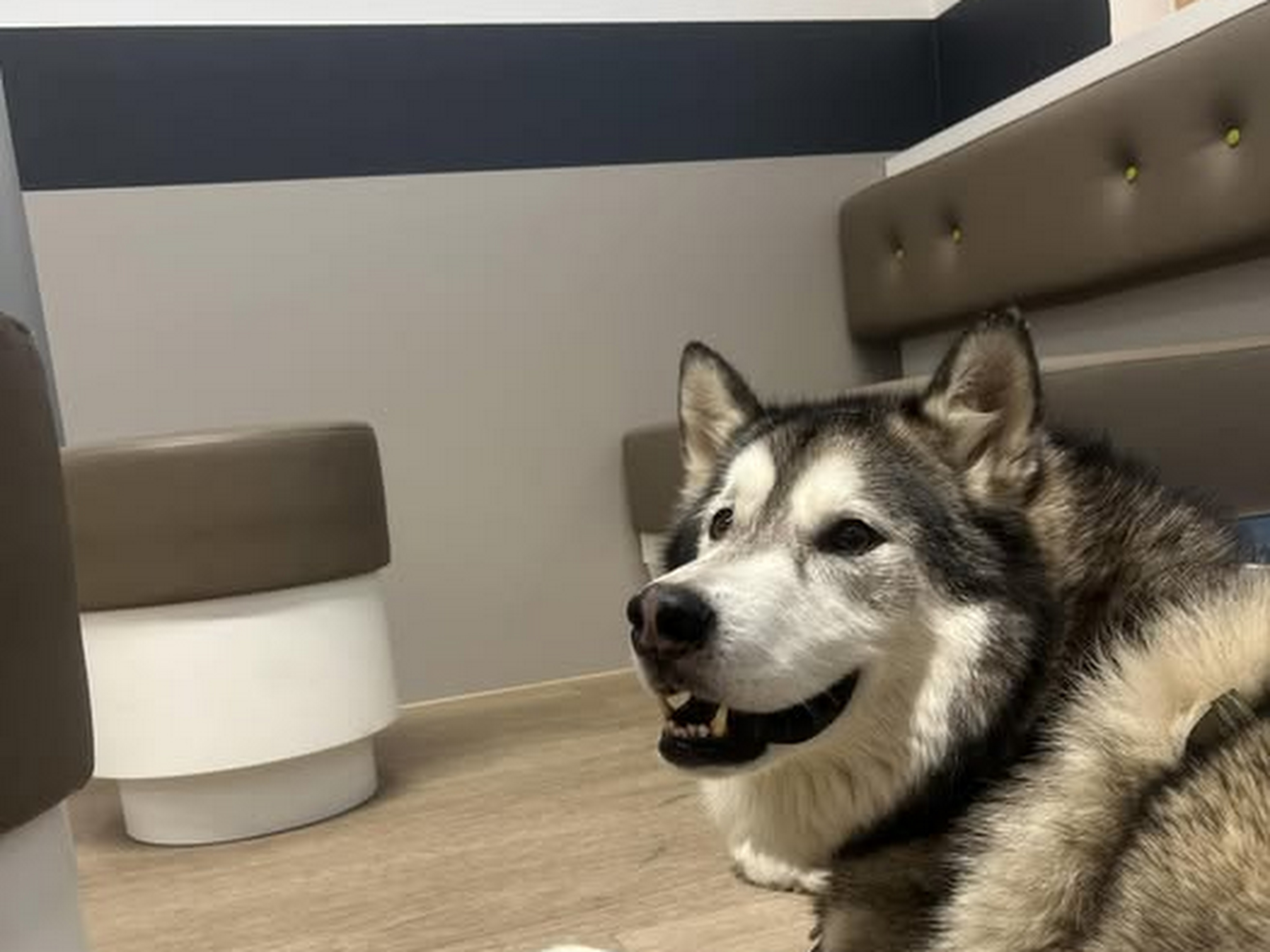 AniCura Tierklinik Stuttgart Plieningen – Bild