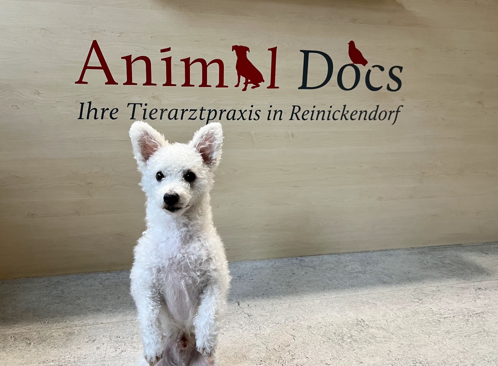 Animal Docs in Berlin – Praxisfoto 1