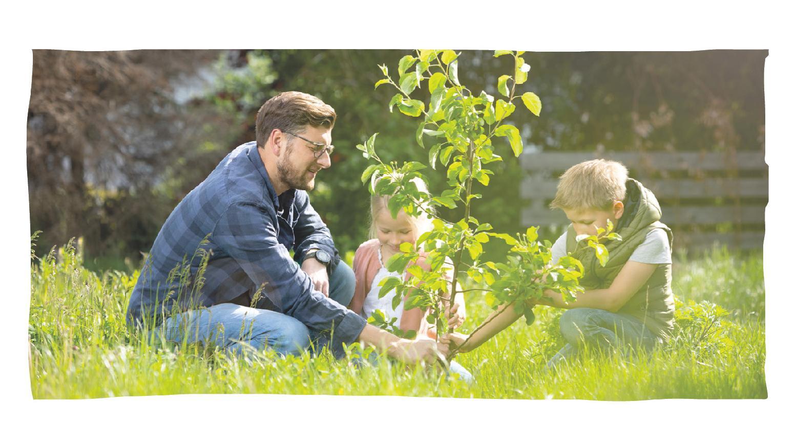 Animal Tree Tierbestattung - Köln-Bonn in Niederkassel – Praxisfoto 1