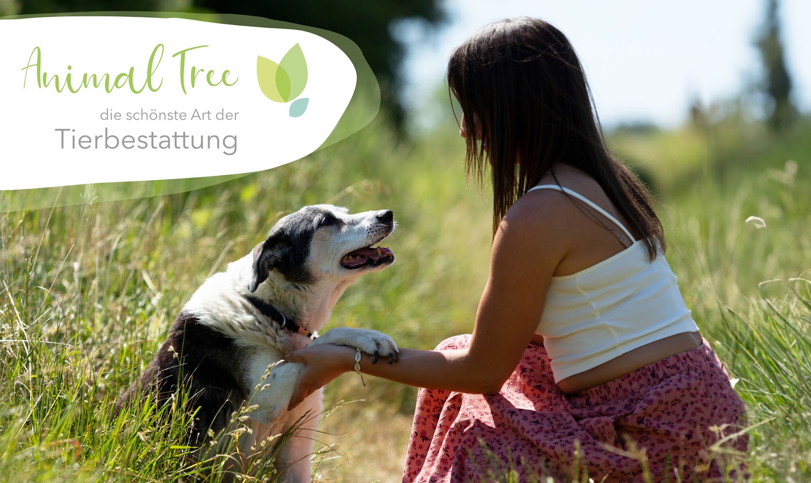 Animal Tree Tierbestattung - Köln-Bonn