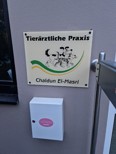 Chaldun El-Masri