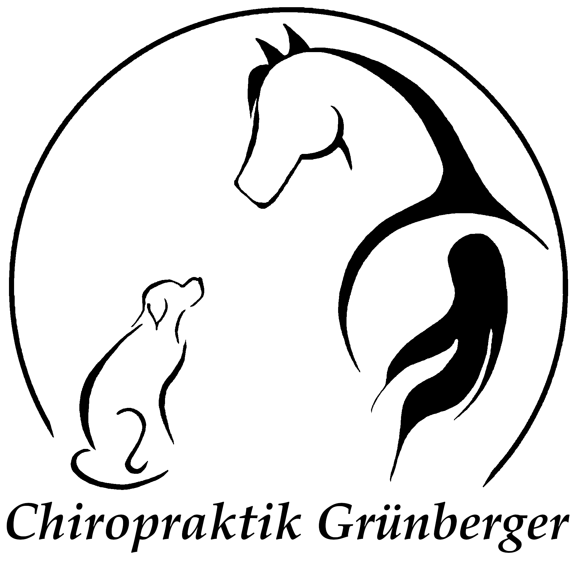Chiropraktik Grünberger – Bild