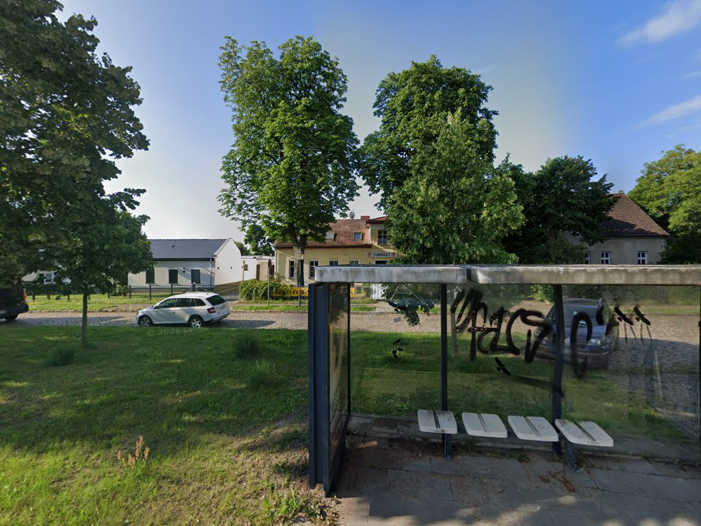 Christian Kammbach - prakt.Tierarzt - in Wandlitz – Praxisfoto 2