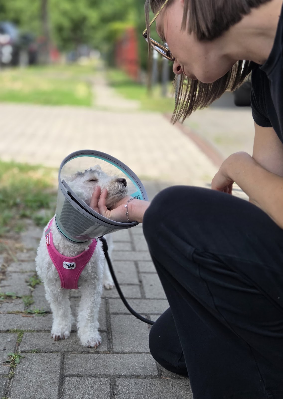 Cornelia Seithe Tierärztin in Berlin – Foto aus einer Patientenbewertung