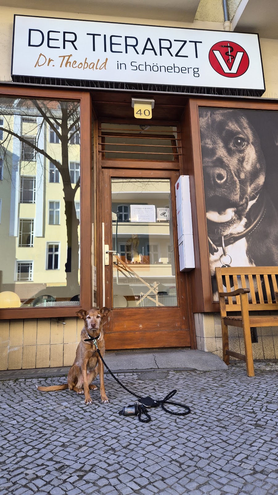 DER TIERARZT Dr. Theobald in Schöneberg in Berlin – Foto aus einer Patientenbewertung