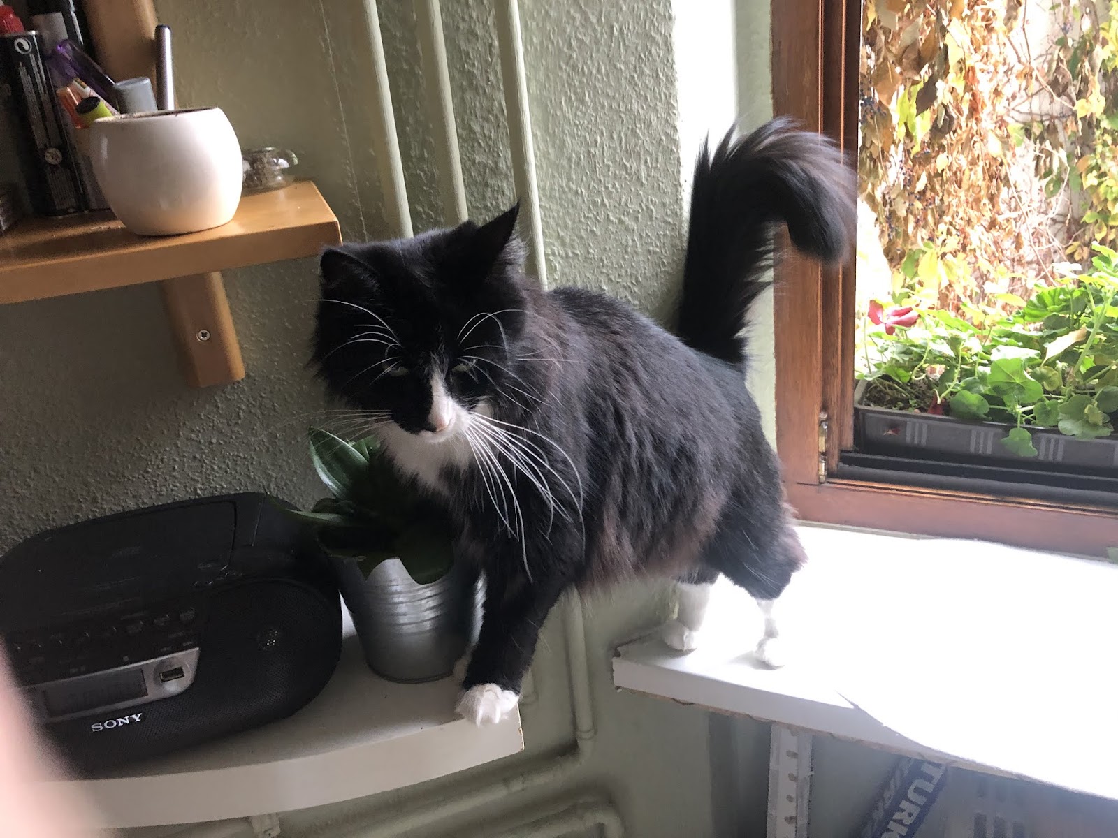 DER TIERARZT Dr. Theobald in Schöneberg in Berlin – Praxisfoto 2
