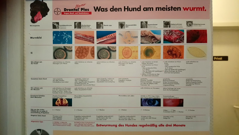 Dip. Vet. Med. Regina Mosebach Tierärztin