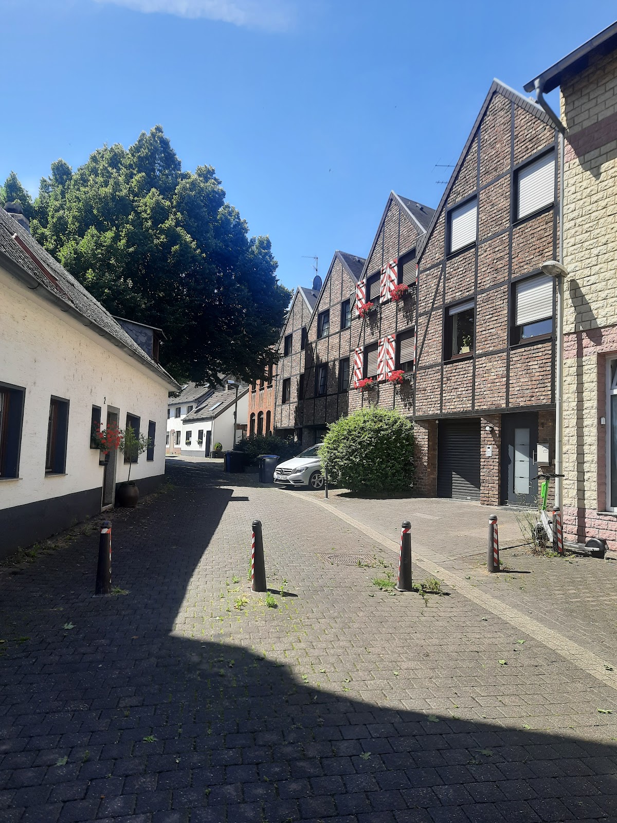 Dorn Therapiezentrum für Hunde in Köln – Foto aus einer Patientenbewertung