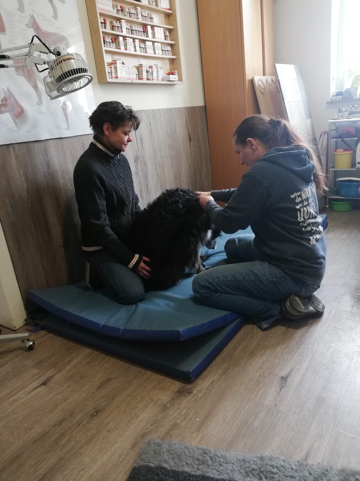 Dorn Therapiezentrum für Hunde in Köln – Praxisansicht