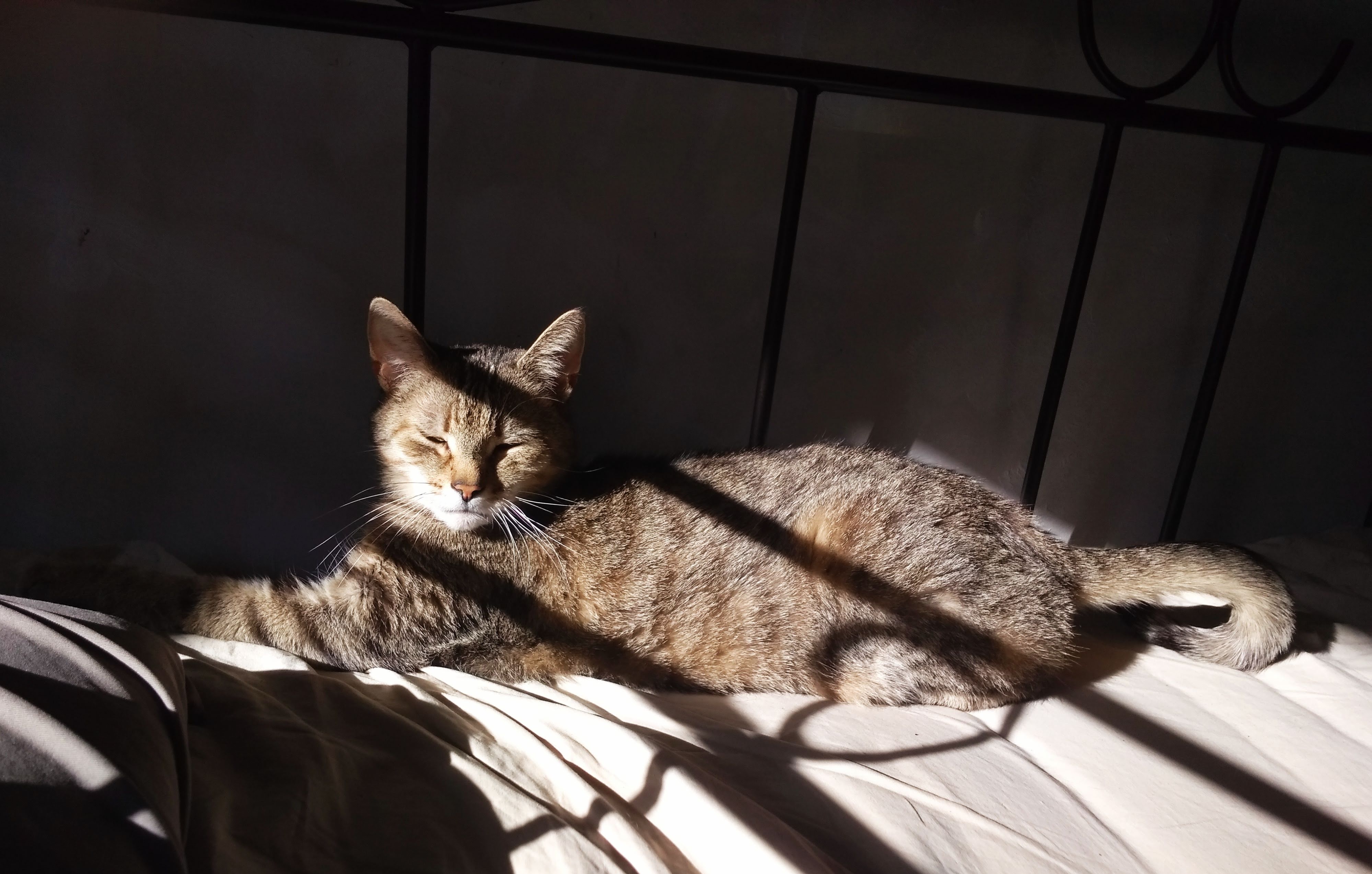 Dr. Beate Degen Tierärztin