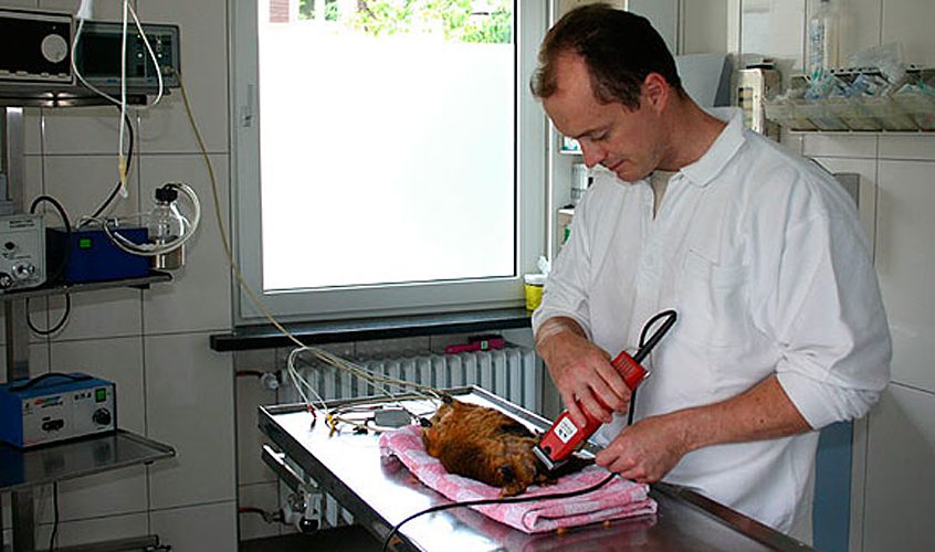 Dr. Daniel Mertens; Tierarztpraxis am Prinzenpark – Bild