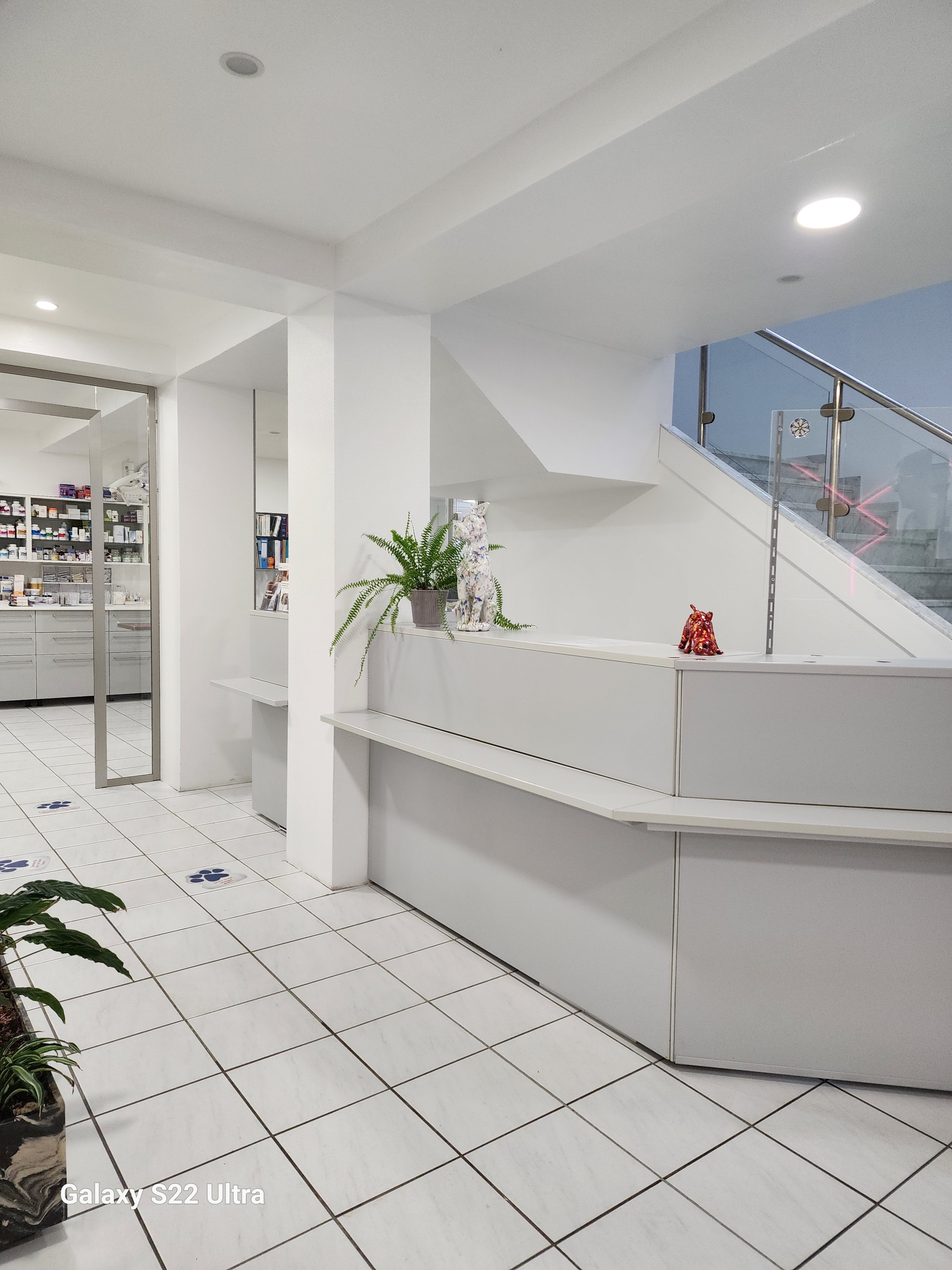 Dr. Georg Wlodarczyk | Kleintierpraxis