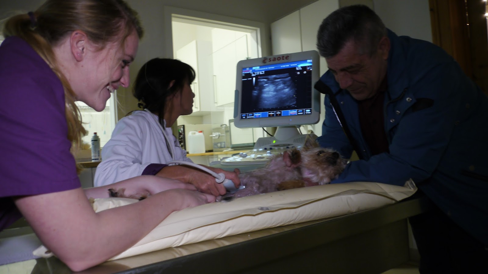 Dr. Jutta Mollidor in Köln – Praxisansicht