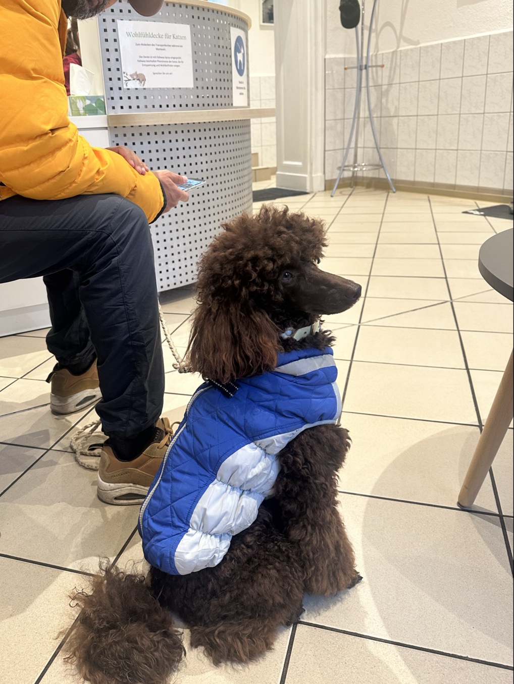 Dr. med. vet. Claudia Handke in Berlin – Foto aus einer Patientenbewertung