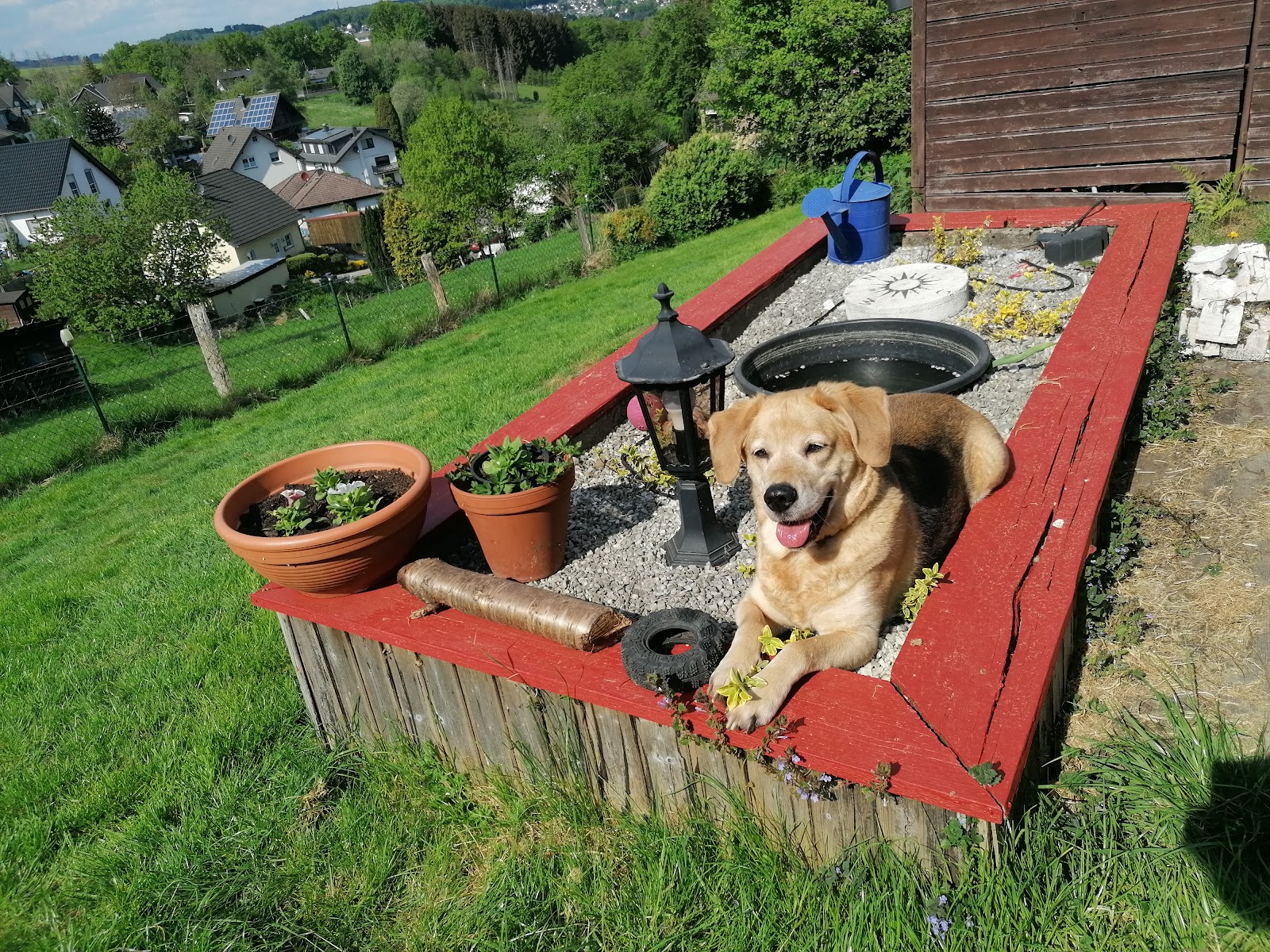 Dr. med. vet. Gerlinde Jux-Straatmann Tierärztin in Overath – Praxisfoto 1