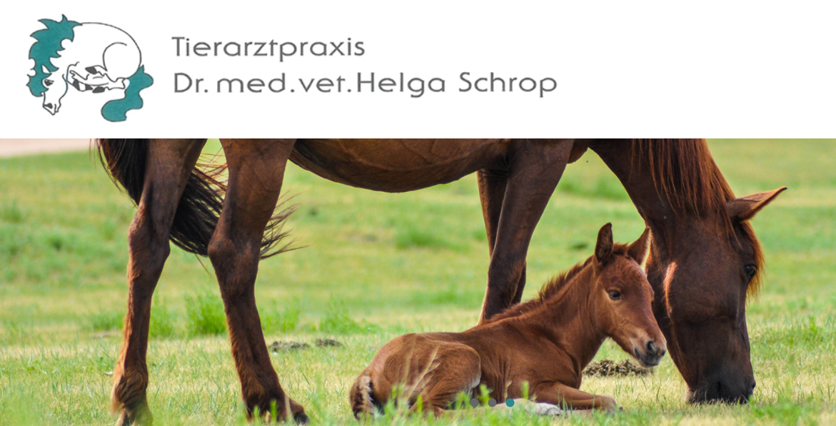 Dr. med. vet. Helga Schrop | Tierärztin für Pferde in Bornheim – Praxisfoto 1