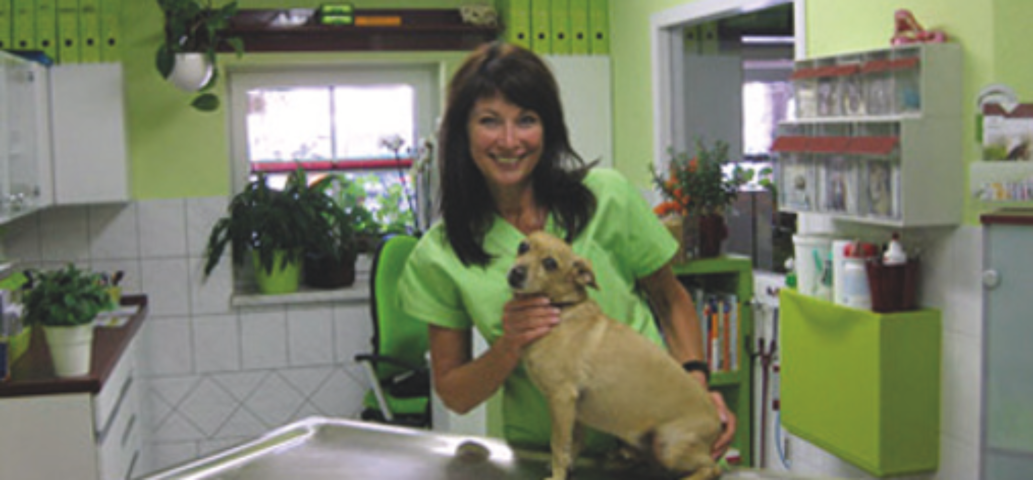 Dr. med. vet. Margit Petter Tierarztpraxis – Bild