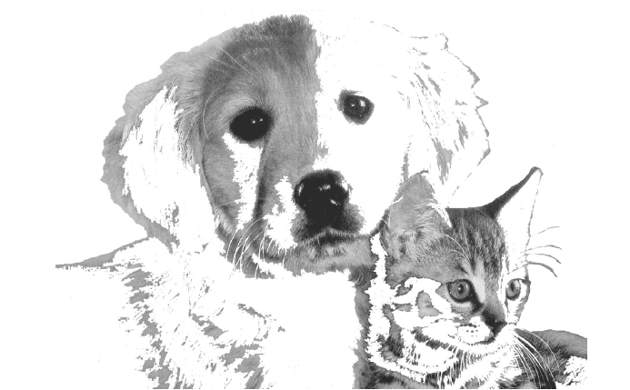 Dr. med. vet. Wolf Kaser - Bergisch Gladbach in Bergisch Gladbach-Bensberg – Praxisfoto 2
