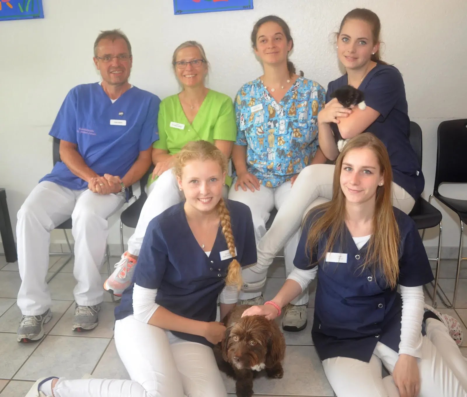 Dr. med.vet. Andrea Jansen - Fachpraxis für Kleintiere