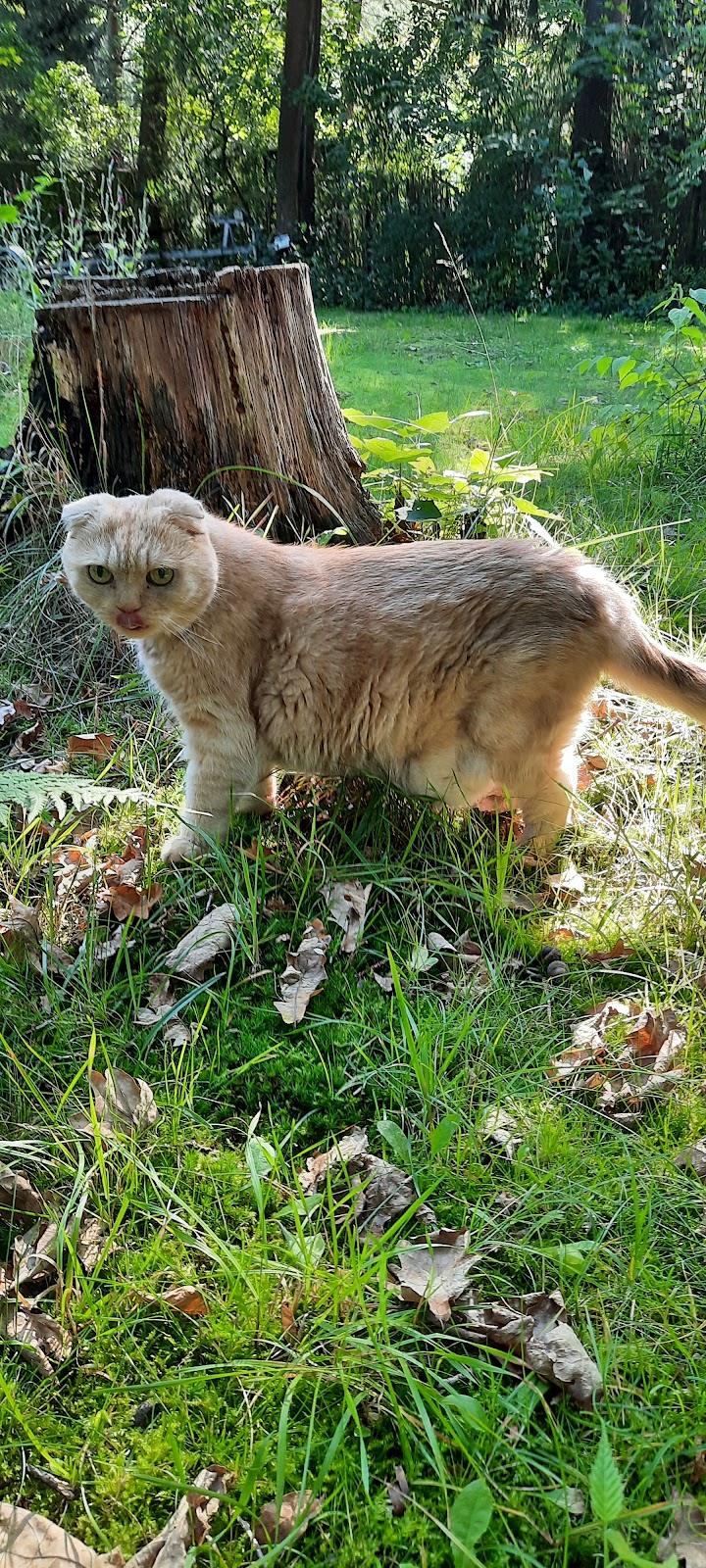 Dr. Silke Franck in Mühlenbecker Land – Praxisansicht