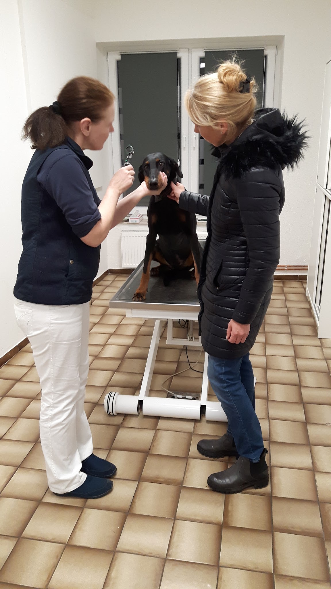 Dr. Zimmer-Püsch – Bild