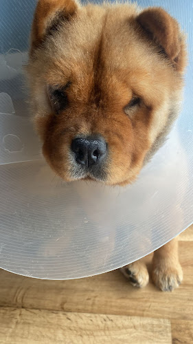 Dres. med. vet. Ingo Hoffmann und Johannes Thal