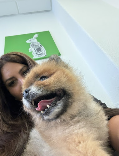 Dr.med.vet. Claudia Pastor Tierärztin