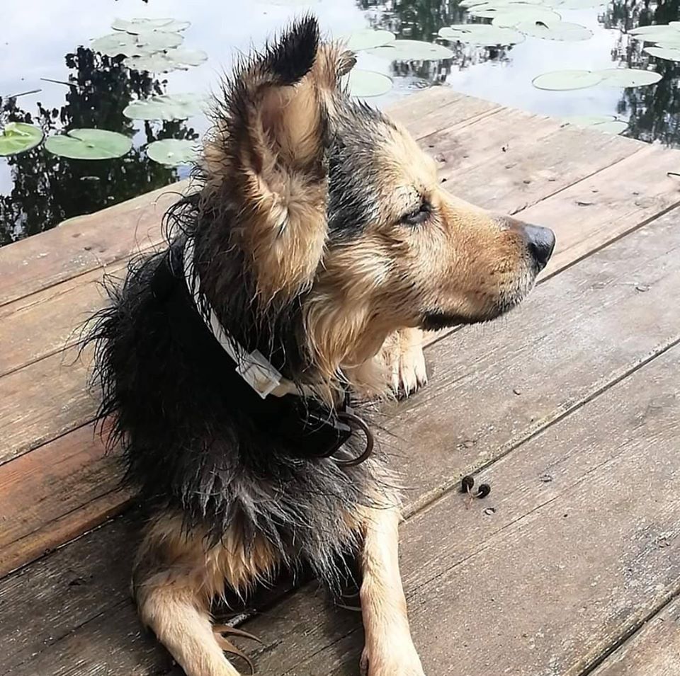 Dr.med.vet. Holger Fuhrmann in Berlin – Praxisansicht