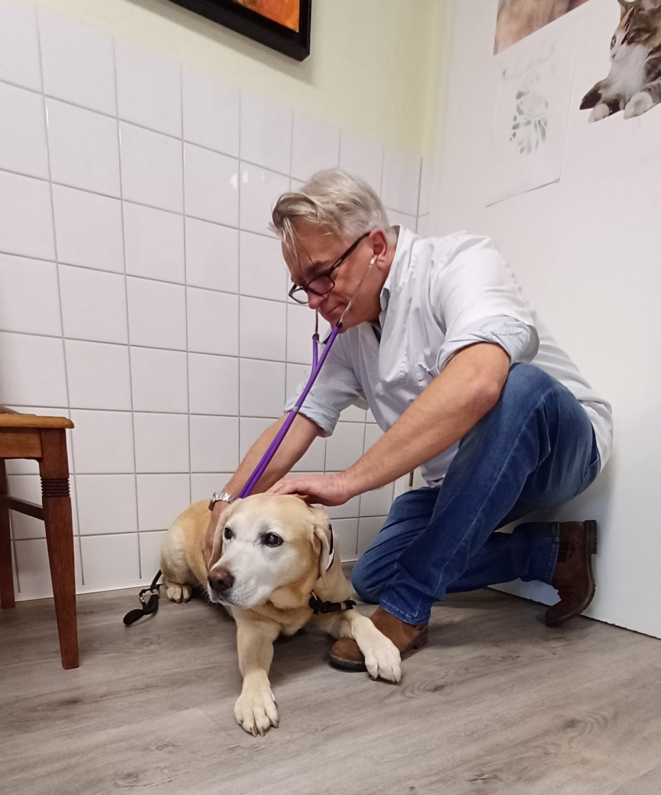 Dr.med.vet. Klaus Eckert Tierarzt in Lohmar – Praxisansicht