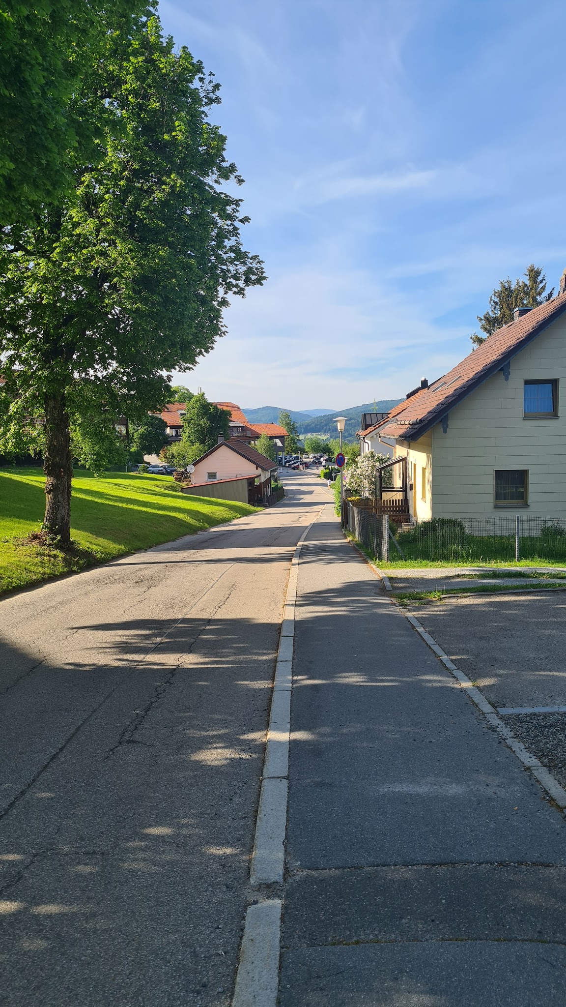 Dr.med.vet. Martin Pauli – Bild