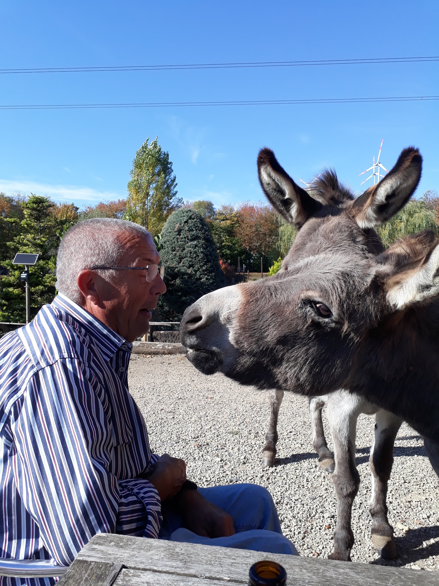 Dr.med.vet. Otmar Reitz Tierarzt – Bild