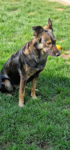 Dr.med.vet. Waltraud Weinzierl Tierärztin