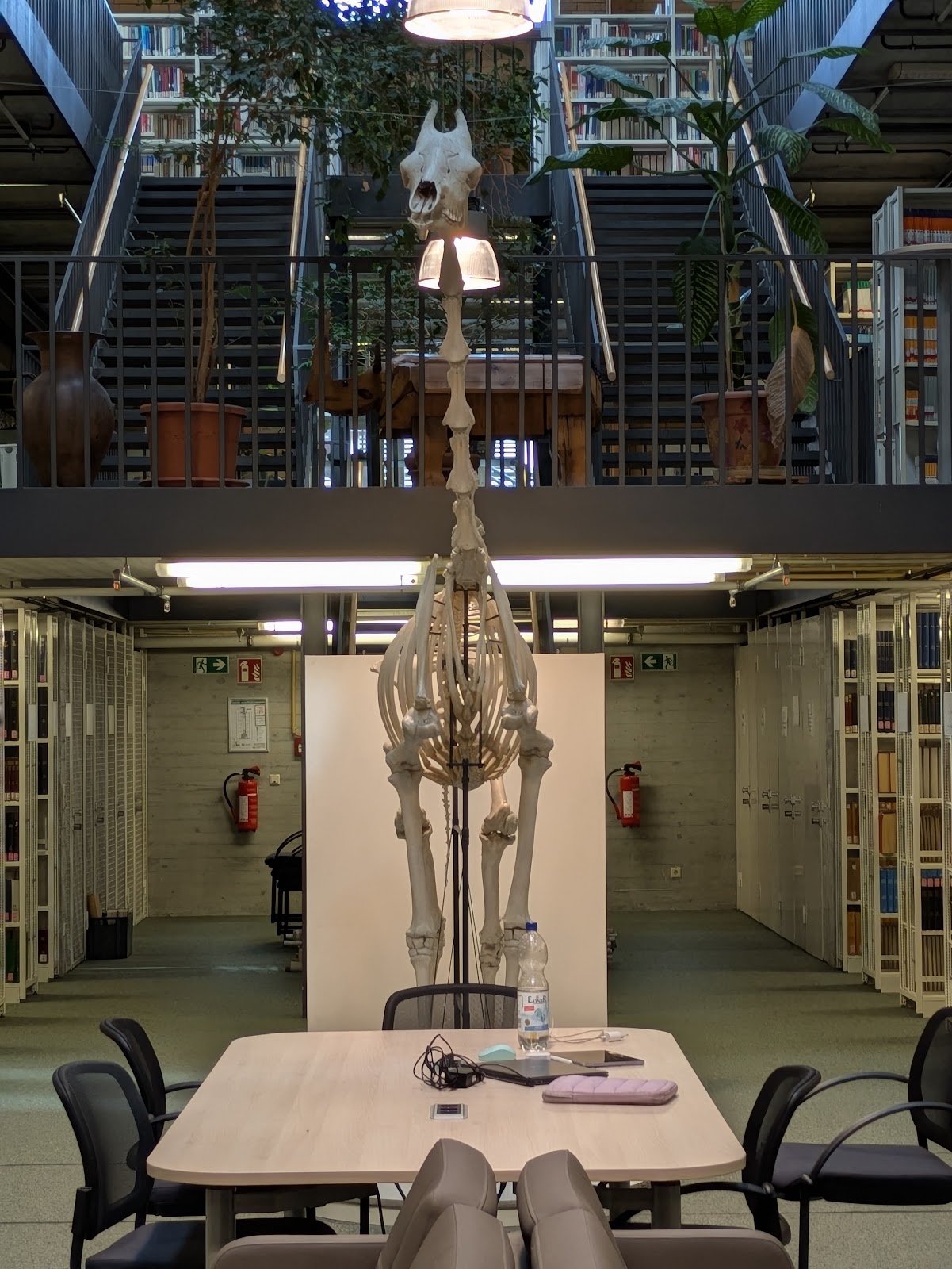 Fachbibliothek Veterinärmedizin in Berlin – Foto aus einer Patientenbewertung