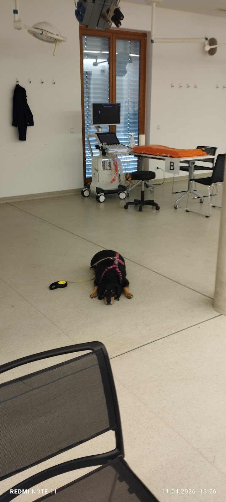 Fachbibliothek Veterinärmedizin in Berlin – Foto aus einer Patientenbewertung