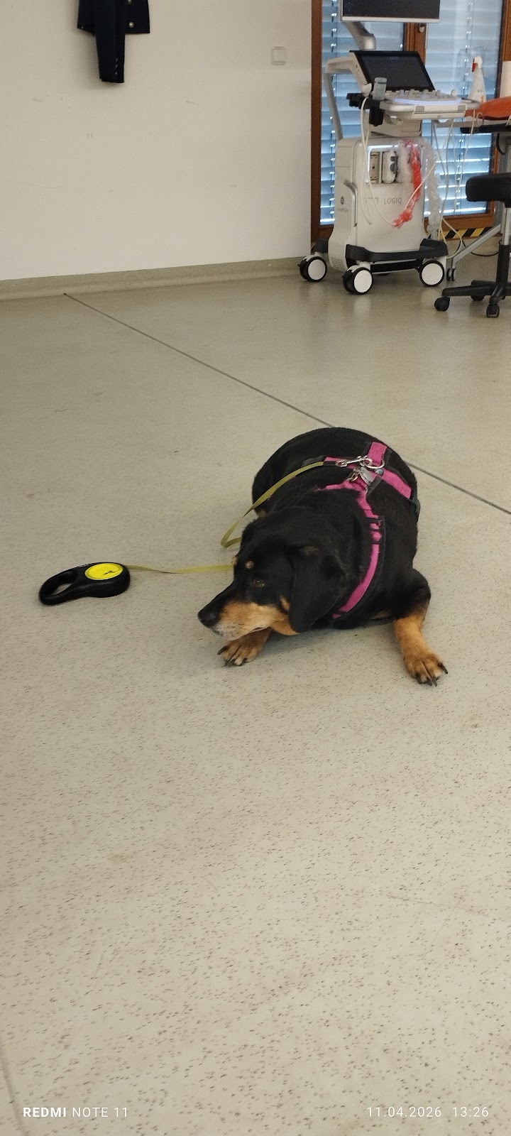 Fachbibliothek Veterinärmedizin in Berlin – Foto aus einer Patientenbewertung