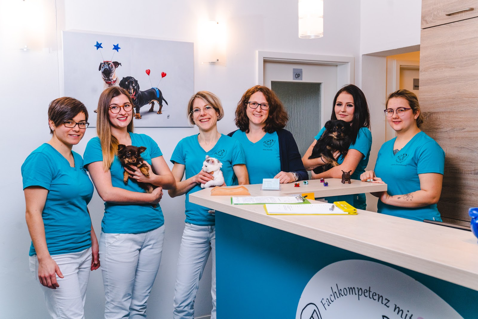 Fachtierarztpraxis Passau Dr. Petra Krause in Passau – Praxisansicht