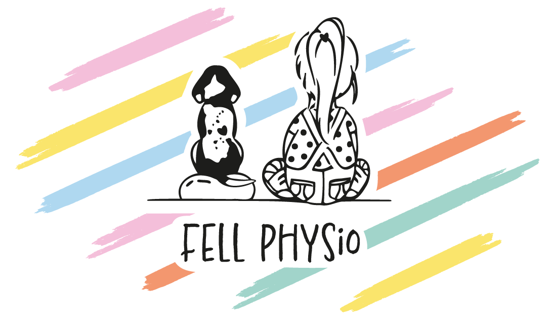 Fell Physio | Tierphysiotherapie & Tierchiropraktik in Köln – Praxisfoto 1