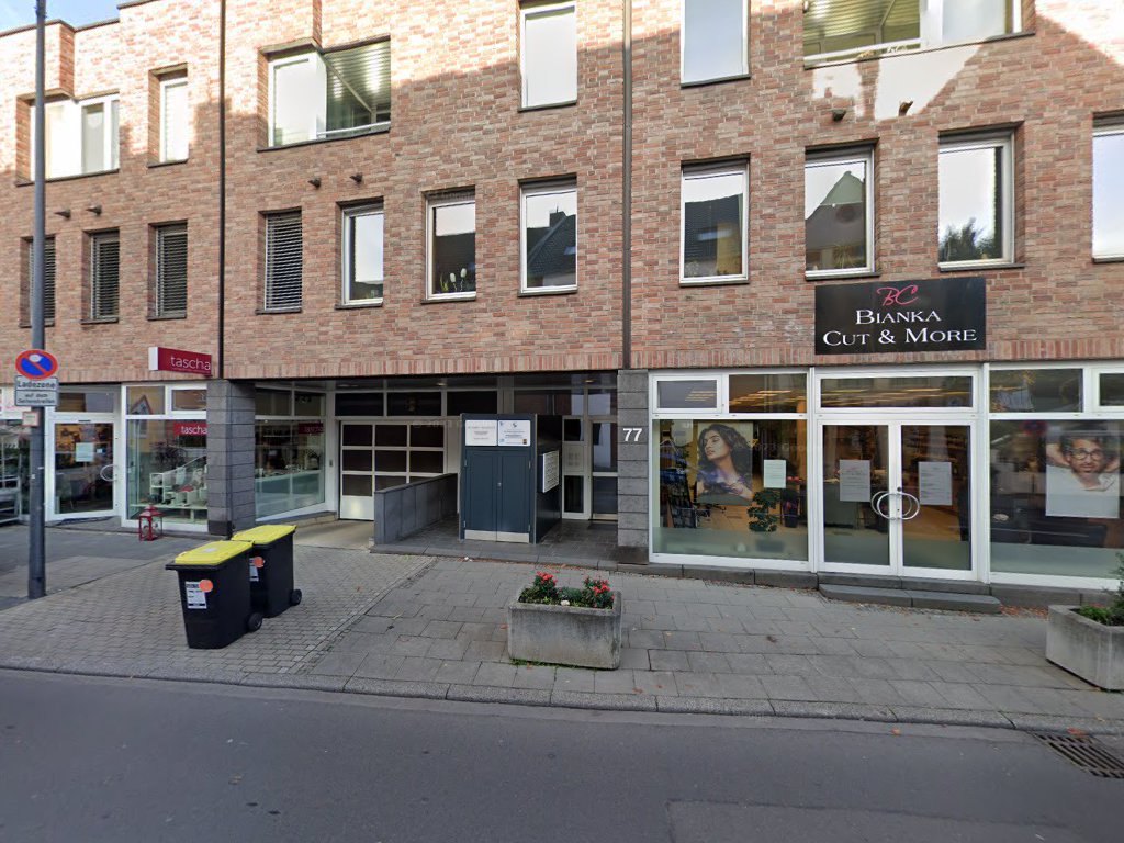 Fell Physio | Tierphysiotherapie & Tierchiropraktik in Köln – Praxisfoto 3