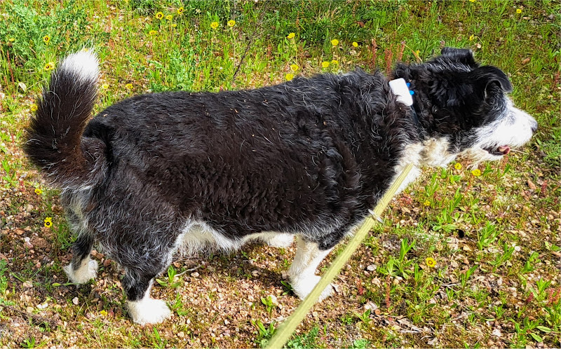 Fit mit Futter