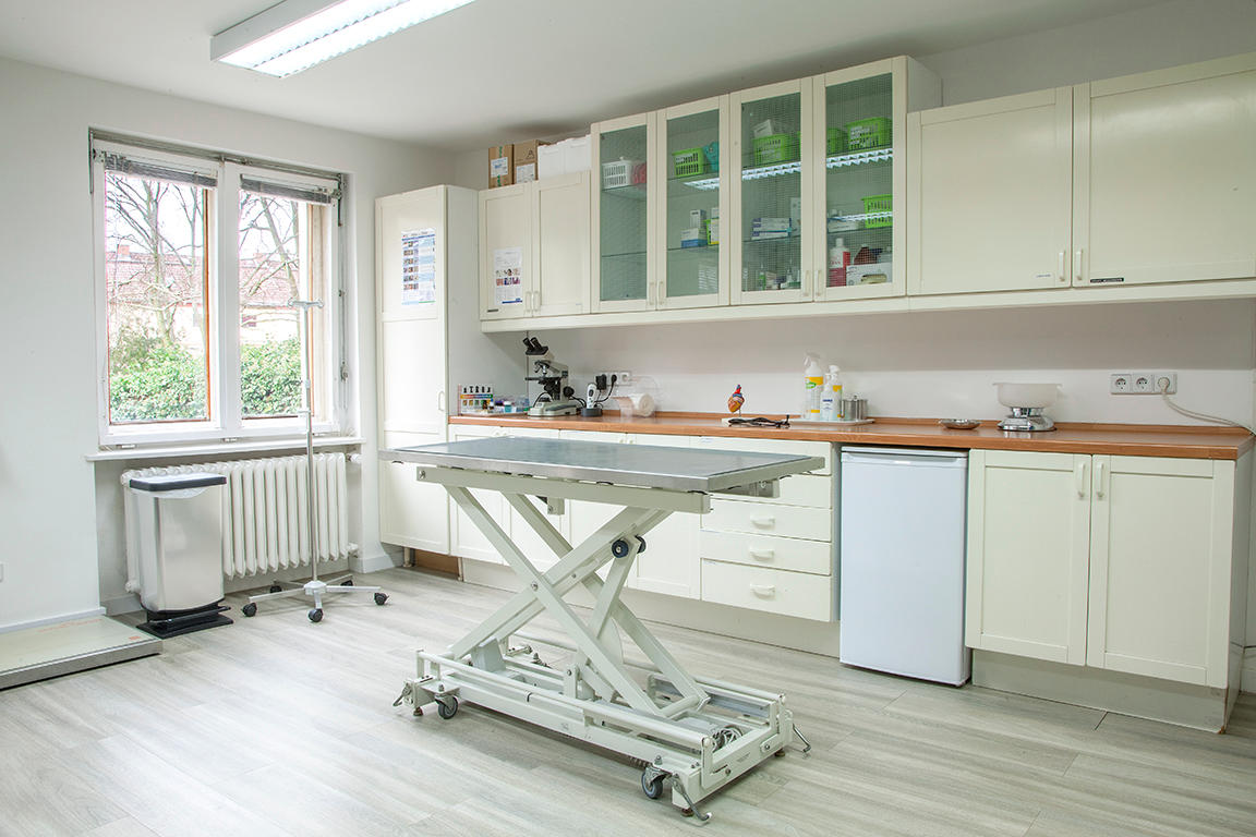 Flidais Vet - Kleintierpraxis Neukölln in Berlin – Praxisfoto 2