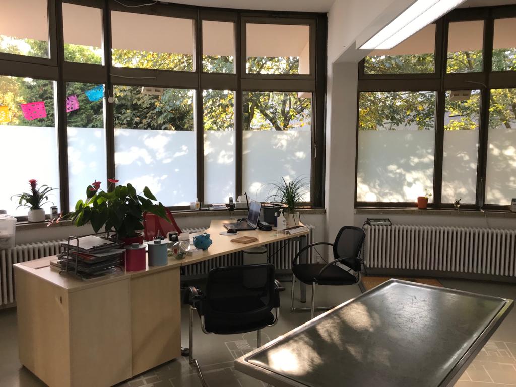Flidais Vet - Kleintierpraxis Neukölln in Berlin – Praxisansicht