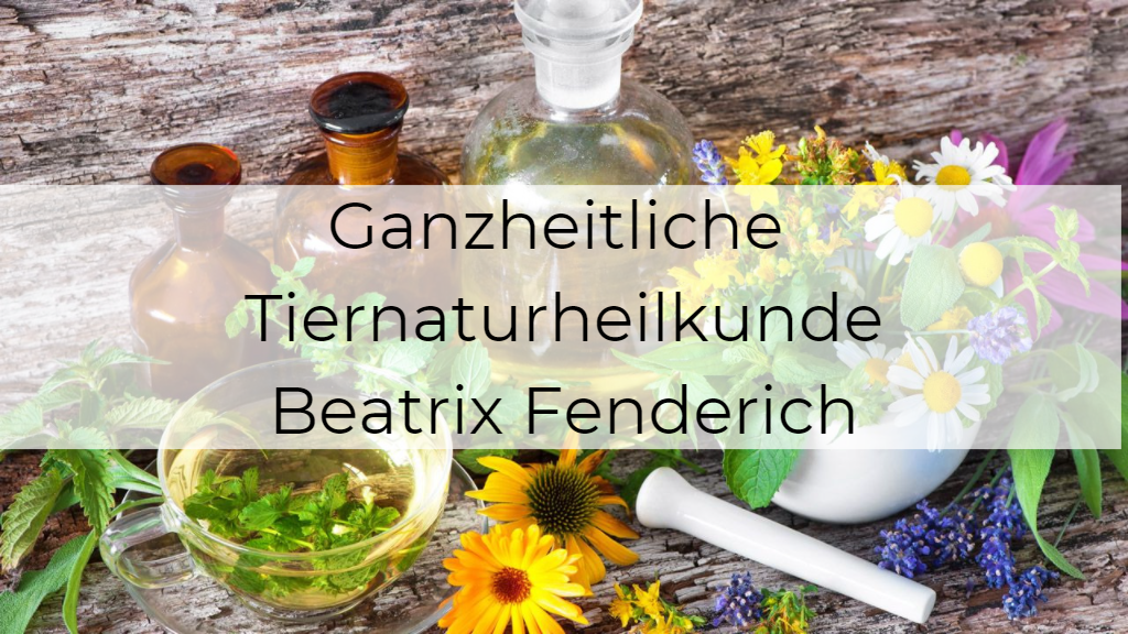 Ganzheitliche Tiernaturheilkunde Beatrix Fenderich in Rösrath – Praxisansicht