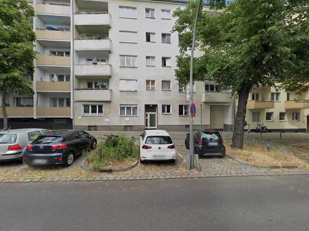 GonzalezDogs in Berlin – Praxisfoto 2