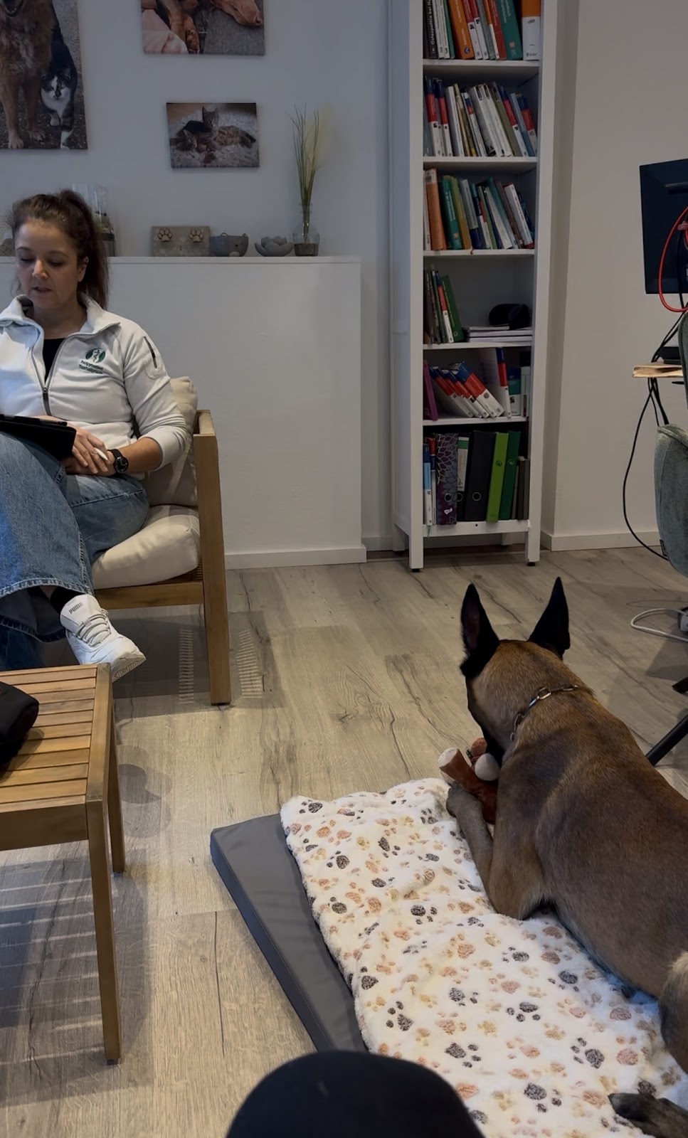 helpyourpet - Tierphysiotherapie & Tierheilpraxis in Brühl – Foto aus einer Patientenbewertung