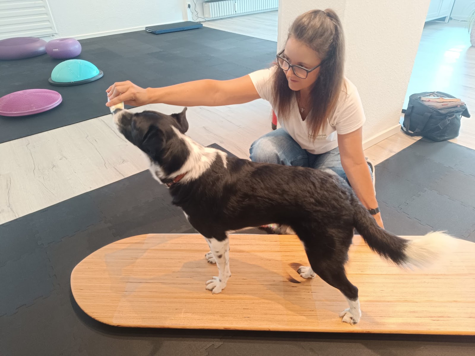 helpyourpet - Tierphysiotherapie & Tierheilpraxis in Brühl – Praxisansicht