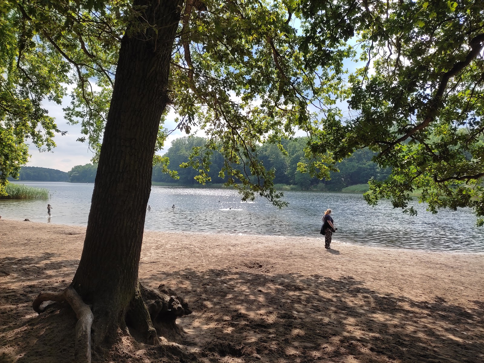 Hundekehlefenn in Berlin – Praxisfoto 1
