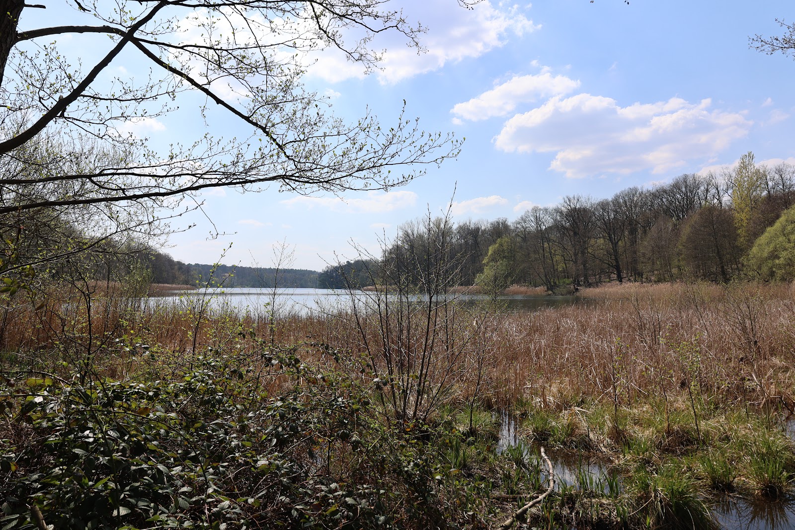 Hundekehlefenn in Berlin – Praxisansicht
