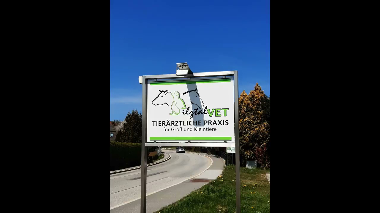 Ilztal Vet Tierärztliche Praxis für Groß und Kleintiere – Bild