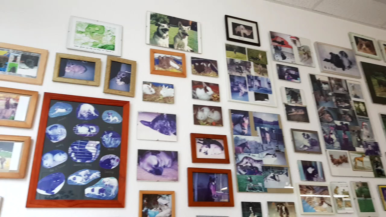 Jan GorzelTierarzt in Remscheid – Praxisfoto 1